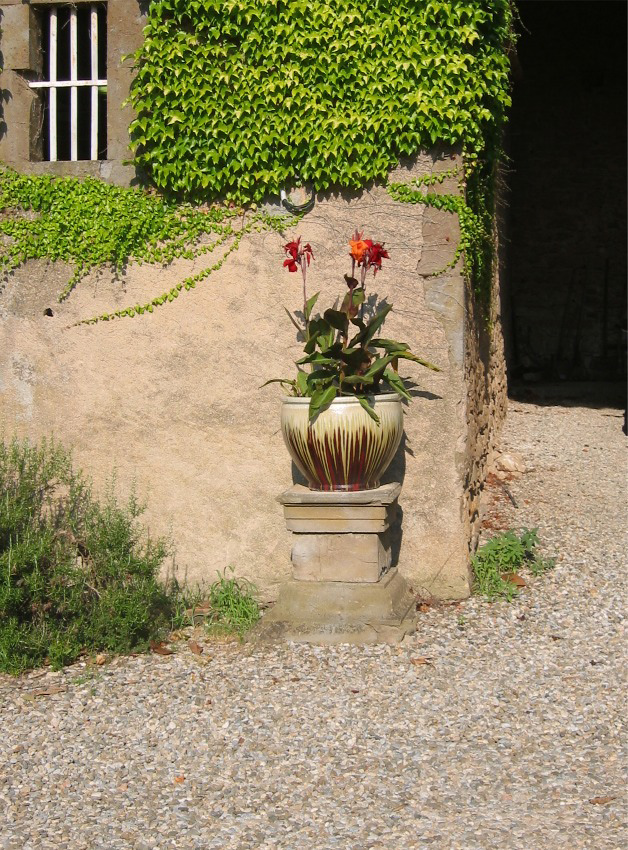 Courtyard flowers at Domaine de Barthe