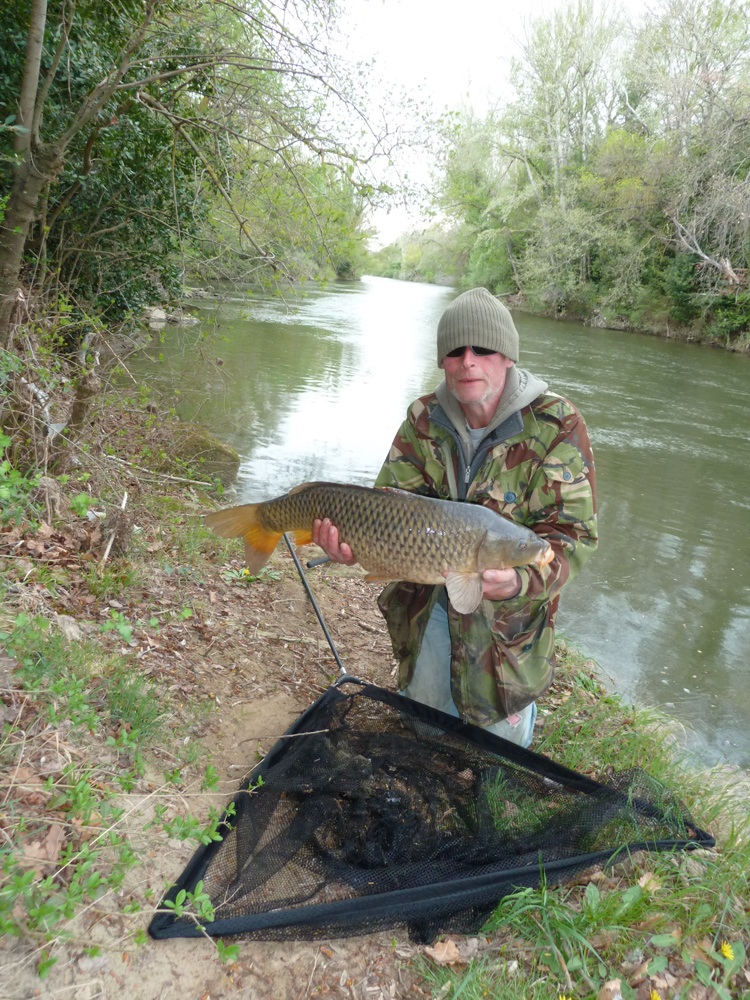 Large Carp caught in the River Aude