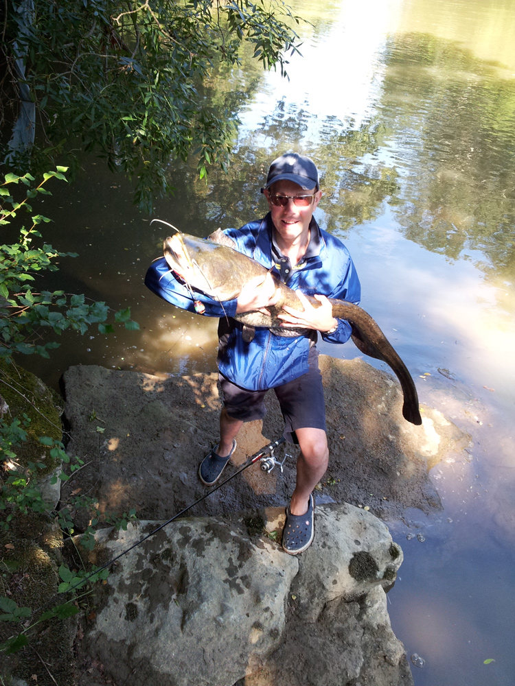 Large catfish caught in the nearby River Aude